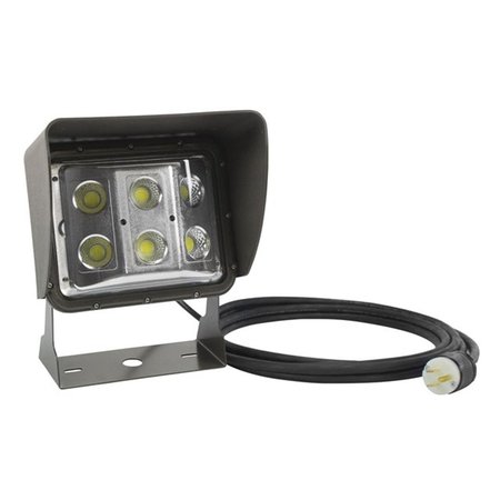 NEWALTHLETE 60 watt LED Low Profile Wall Pack Light with Glare Shield & 10 ft Cord; U Bracket Mount NE376158